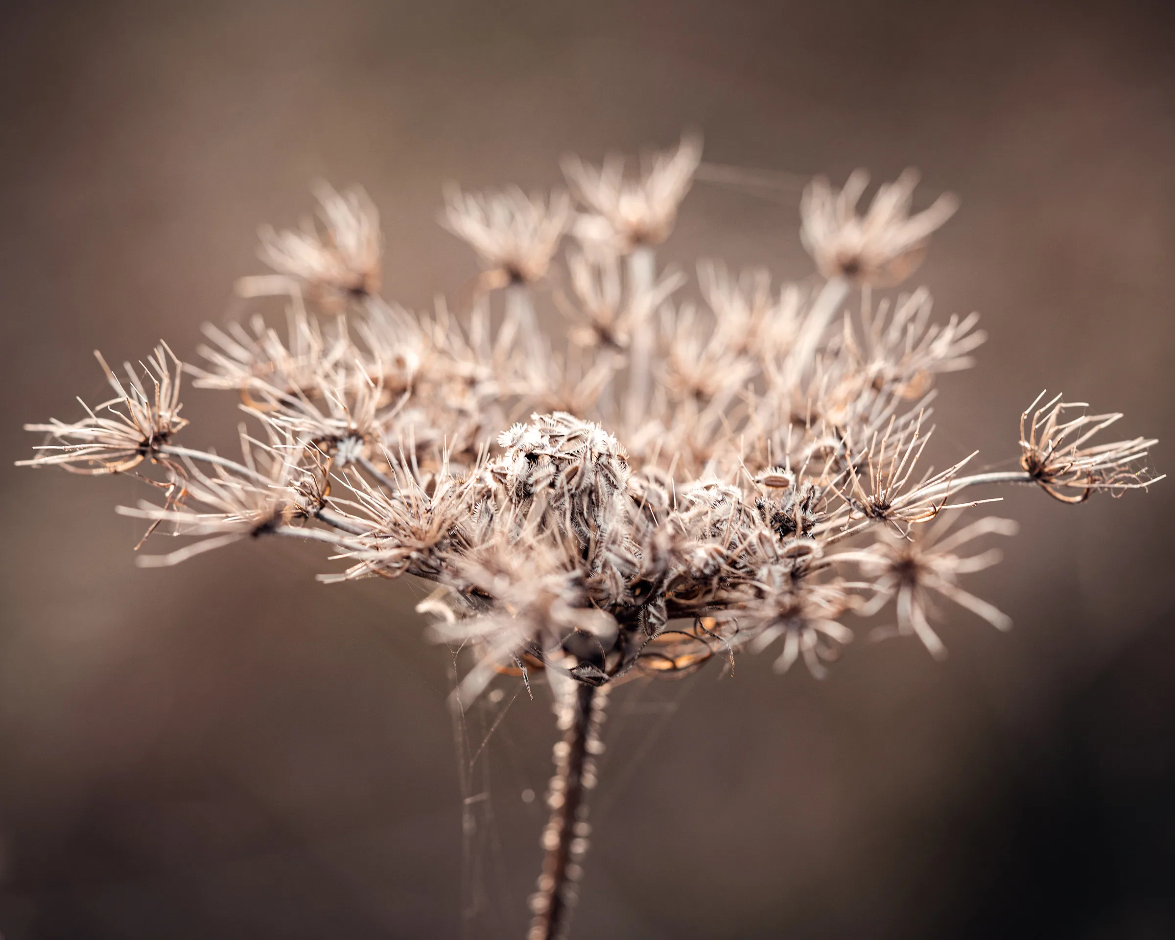 Natur – Foto 5