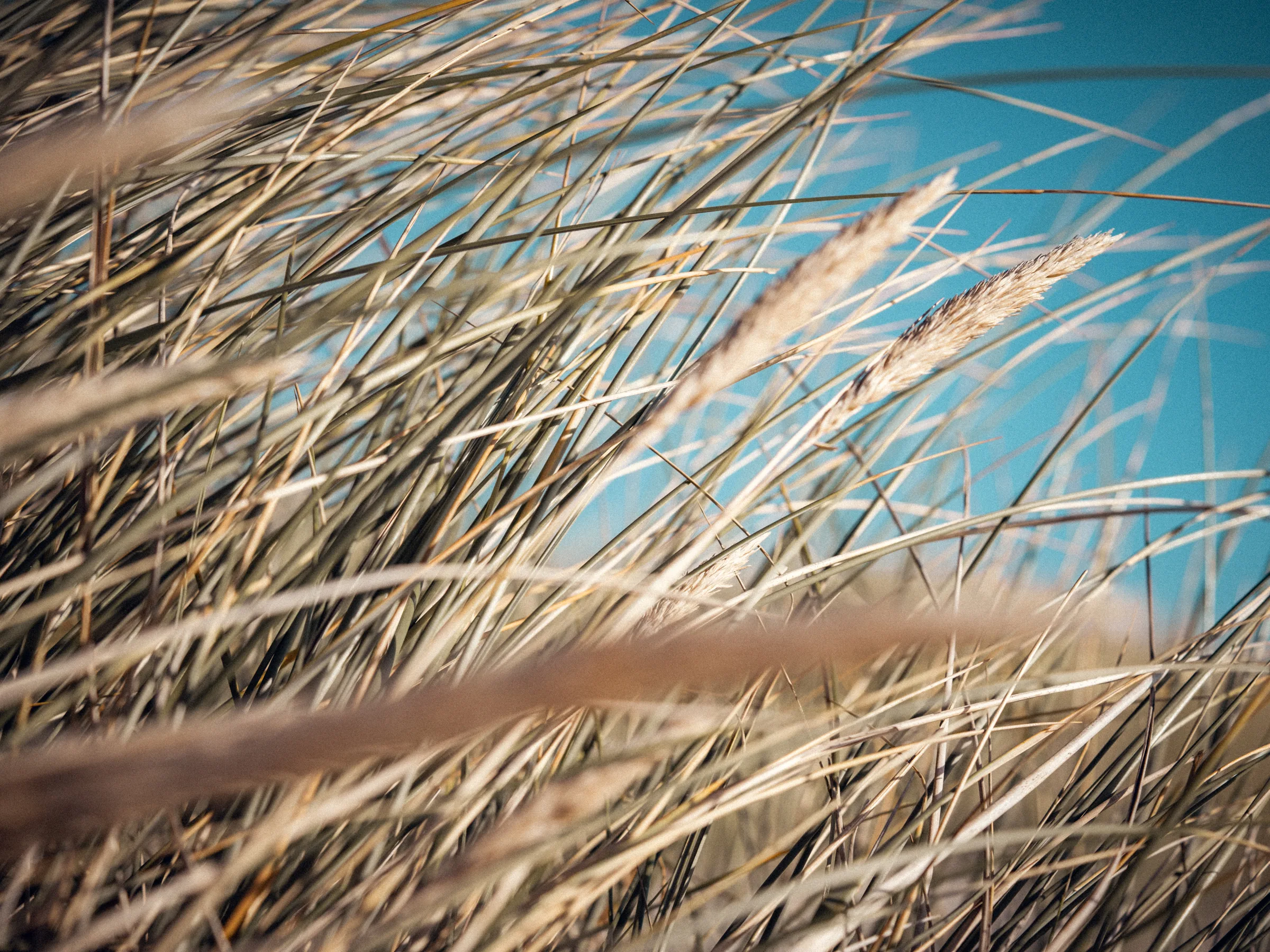Natur – Foto 6