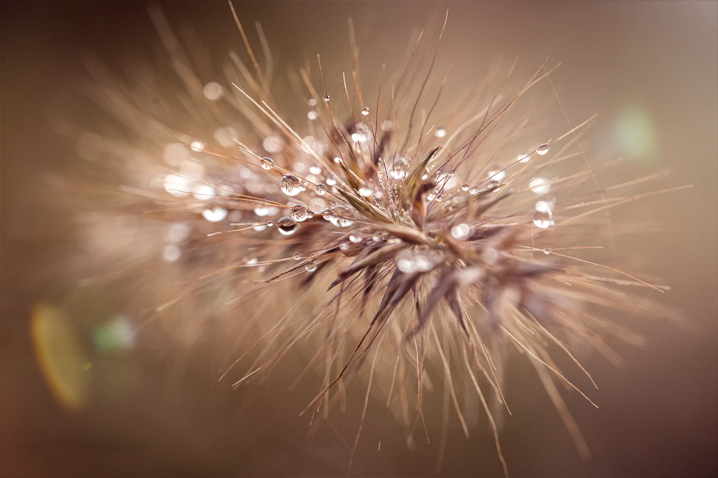 Natur – Foto 11