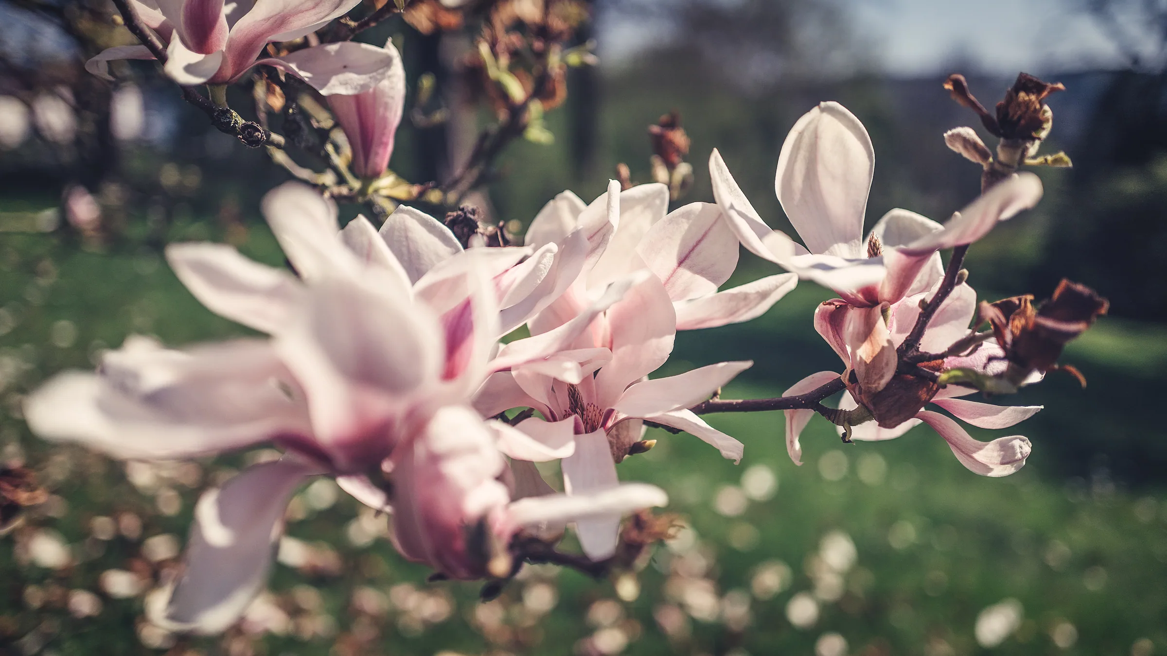Natur – Foto 17