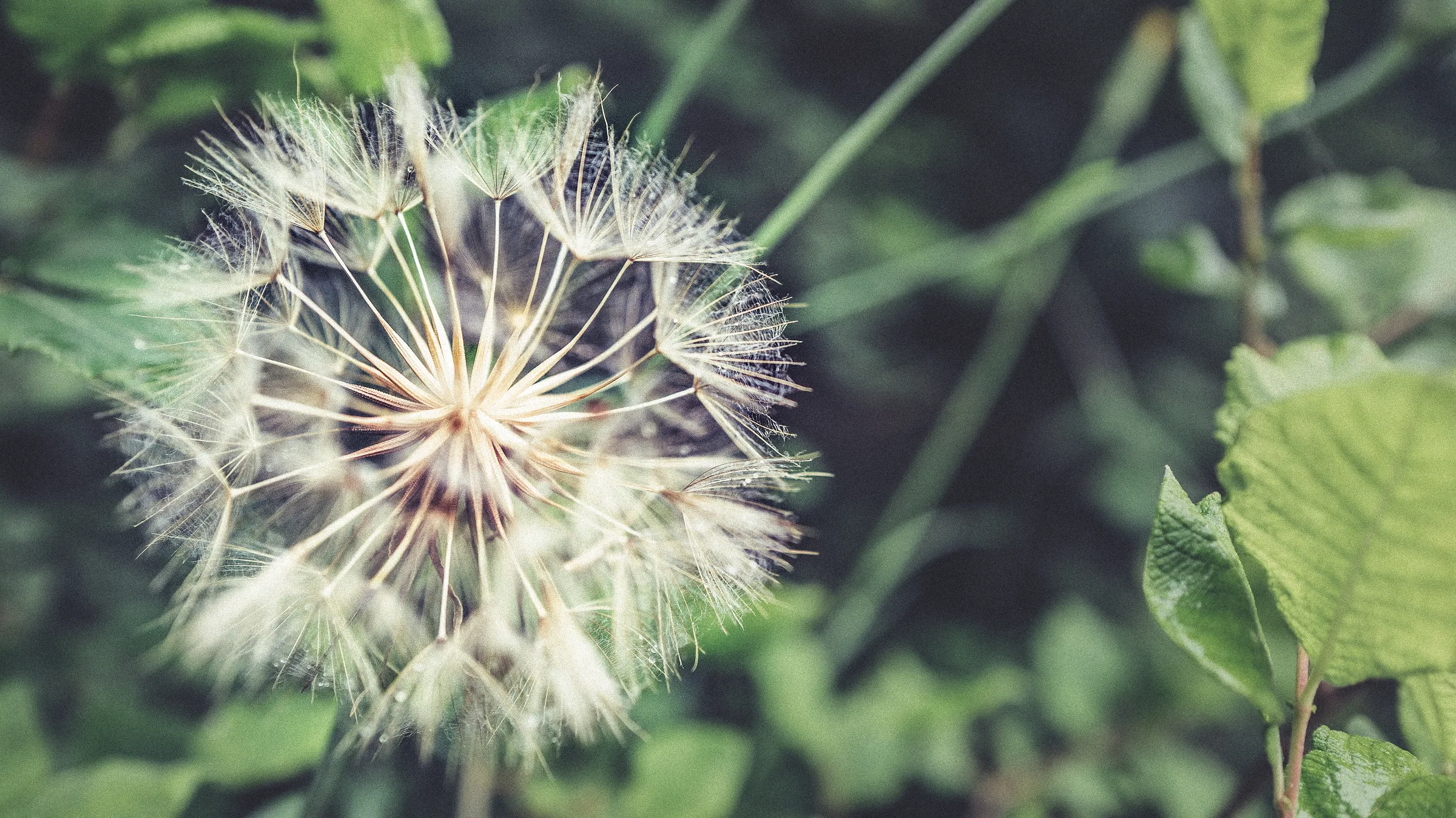 Natur – Foto 22