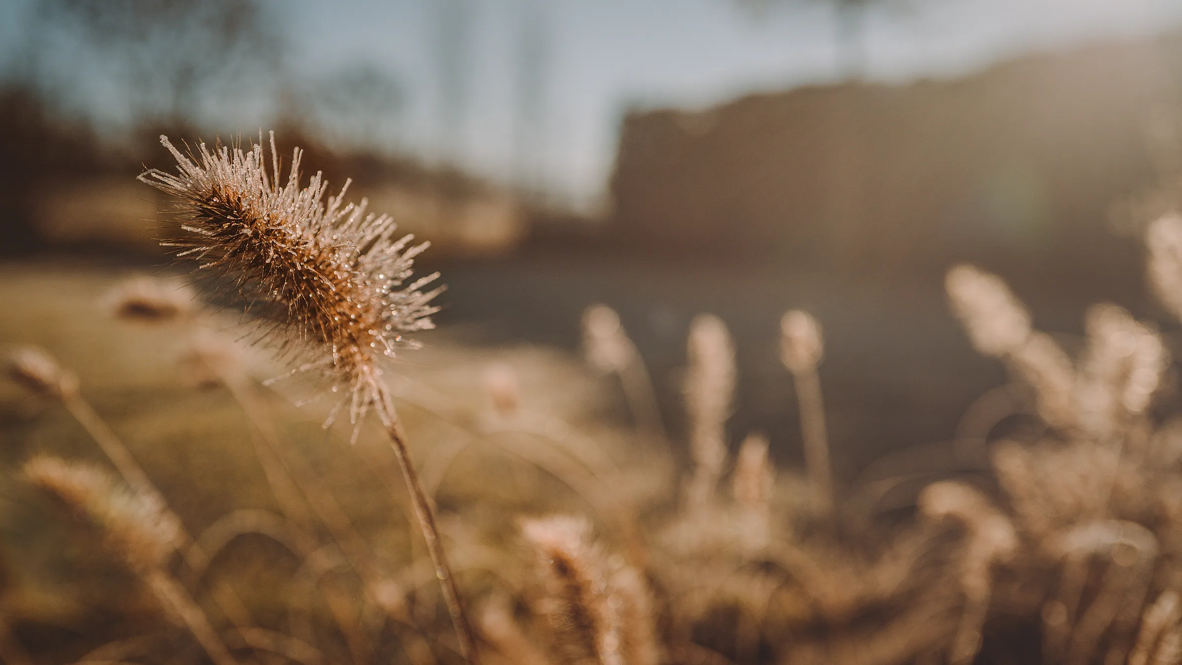 Natur – Foto 23