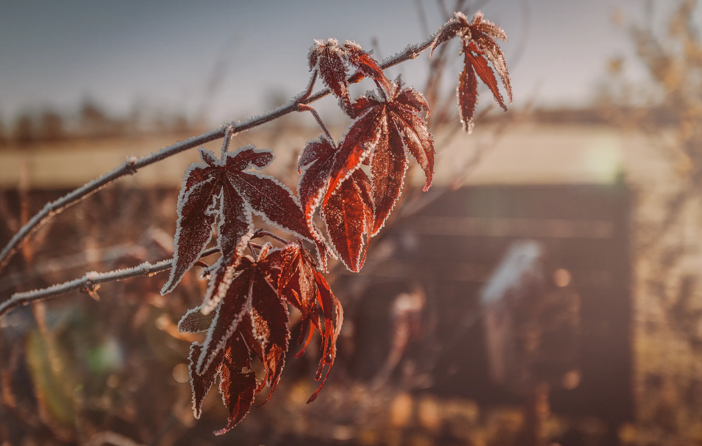 Natur – Foto 24
