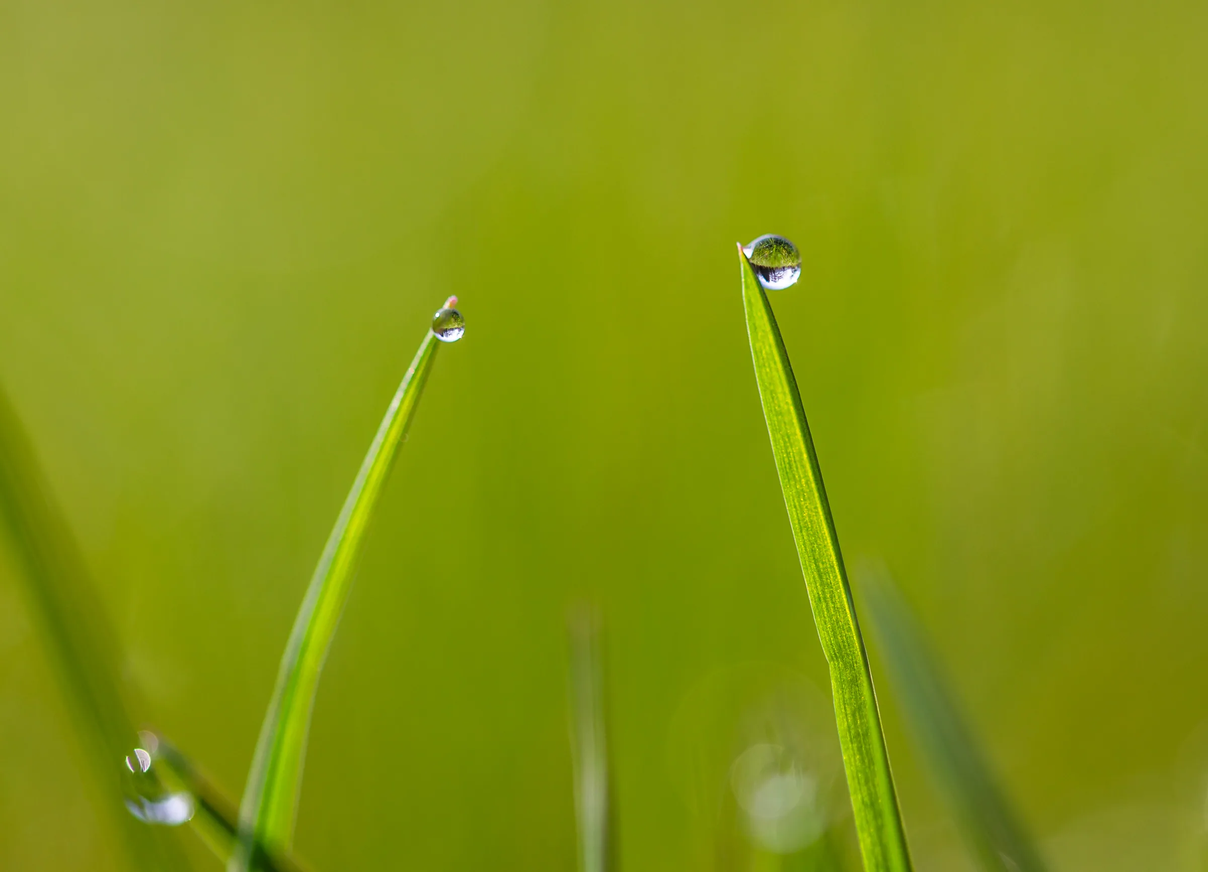 Natur – Foto 32