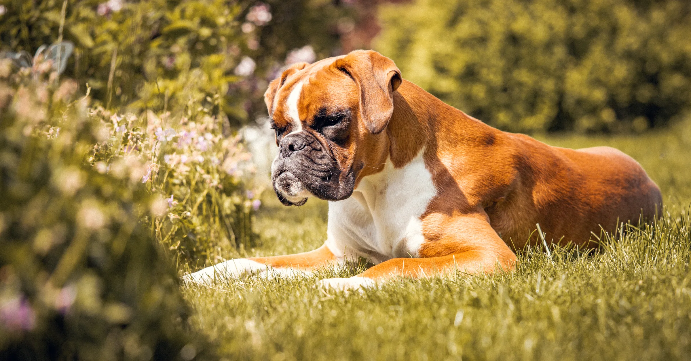 Tierisches – Foto 8